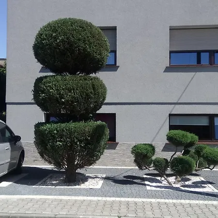 Pokoje U Tereni *
