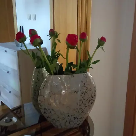 Pokoje U Tereni Ubytování v soukromí